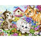 Maaleo 22781 Cats számozott kifestő, 40x50cm, többszínű